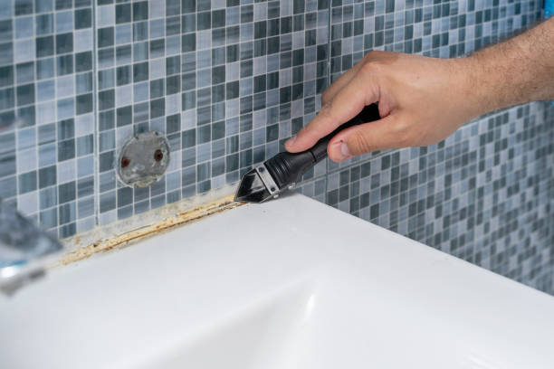 Best Mold Remediation  in Woodville, OH